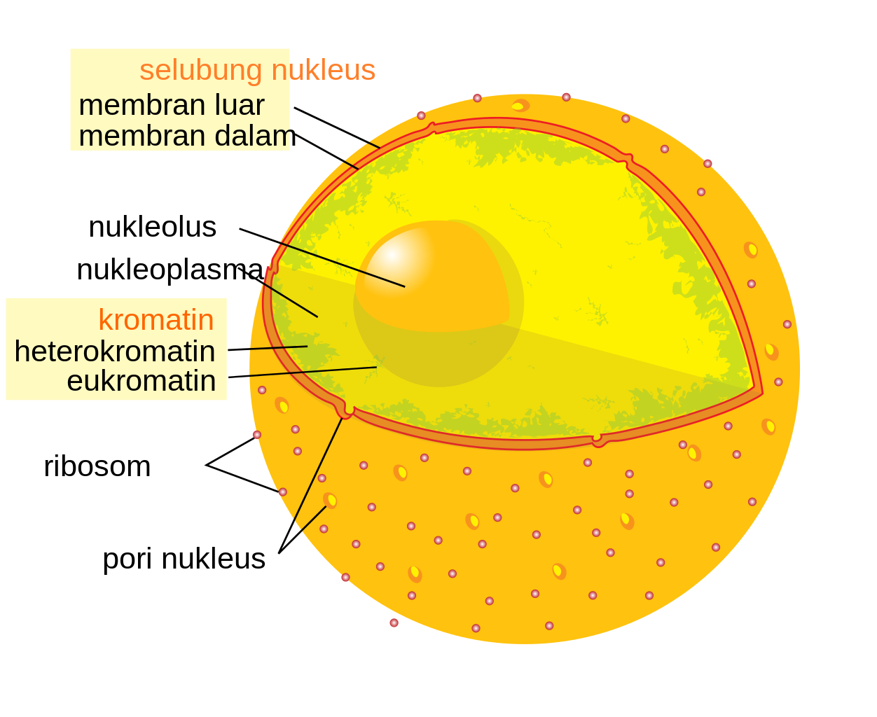Segera download soal ulangan harian kelas 3 sd semeter 2 agar nilai anak semakin hebat